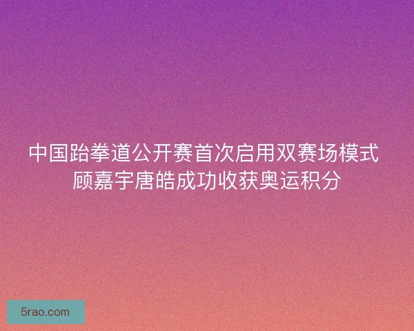 中国跆拳道公开赛首次启用双赛场模式 顾嘉宇唐皓成功收获奥运积分