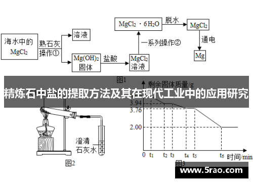 精炼石中盐的提取方法及其在现代工业中的应用研究